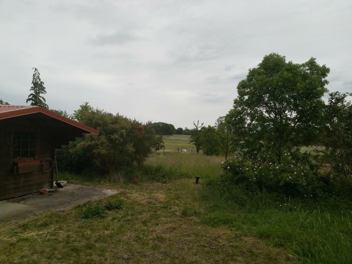New Home Langendorf  Exterior photo